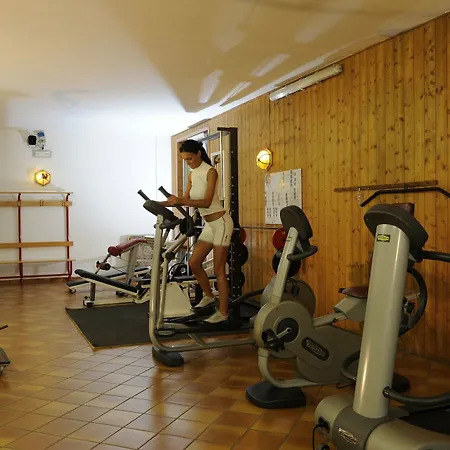 Aparthotel Des Alpes Cavalese